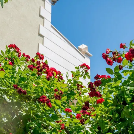 Apartment Apartment Villa Andjelka-1 By Interhome Trogir